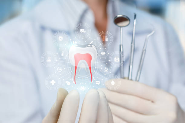Greenville, NC Dental Services Company